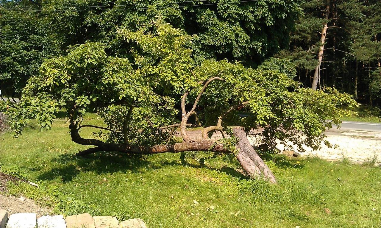 Penzion Slunecno Dobšín Exterior foto